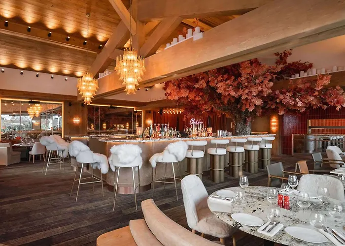 Daire De Luxe A 1850, Acces Et Bien-etre Inclus - Fr-1-830-15 Courchevel